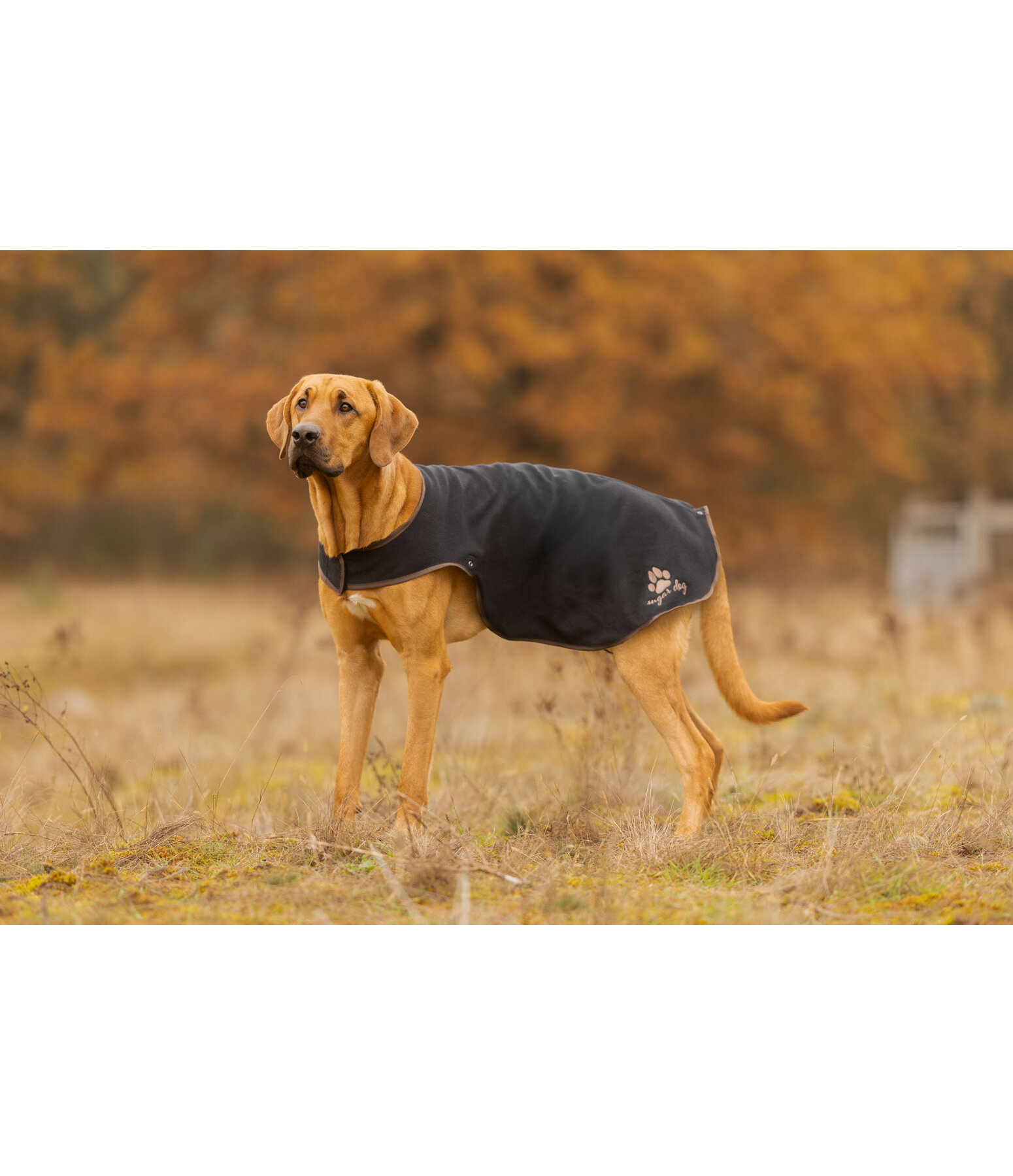 Manteau de pluie pour chiens  Eldoro II avec manteau int�rieur polaire