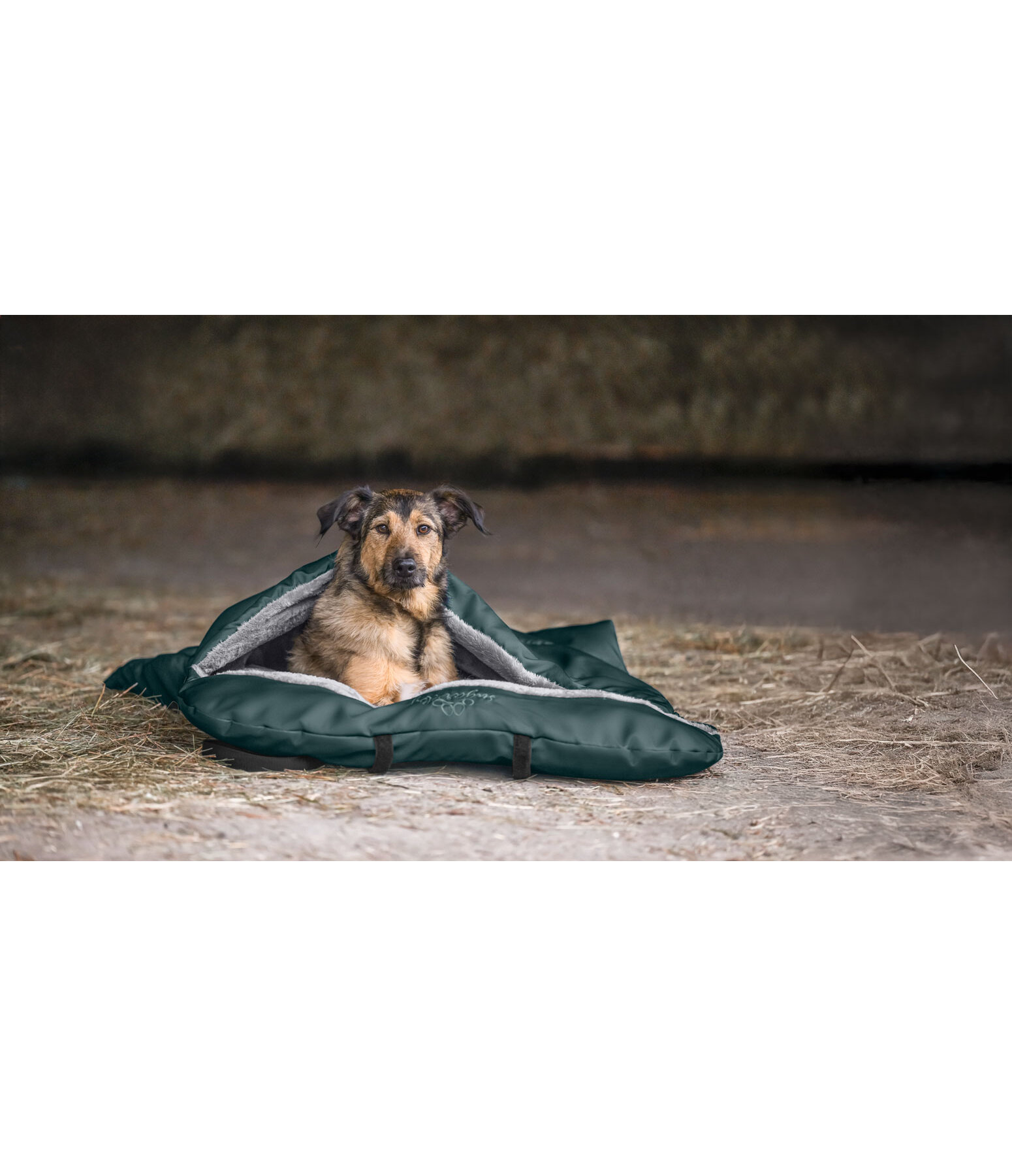 Sac de couchage pour chiens  Sirius