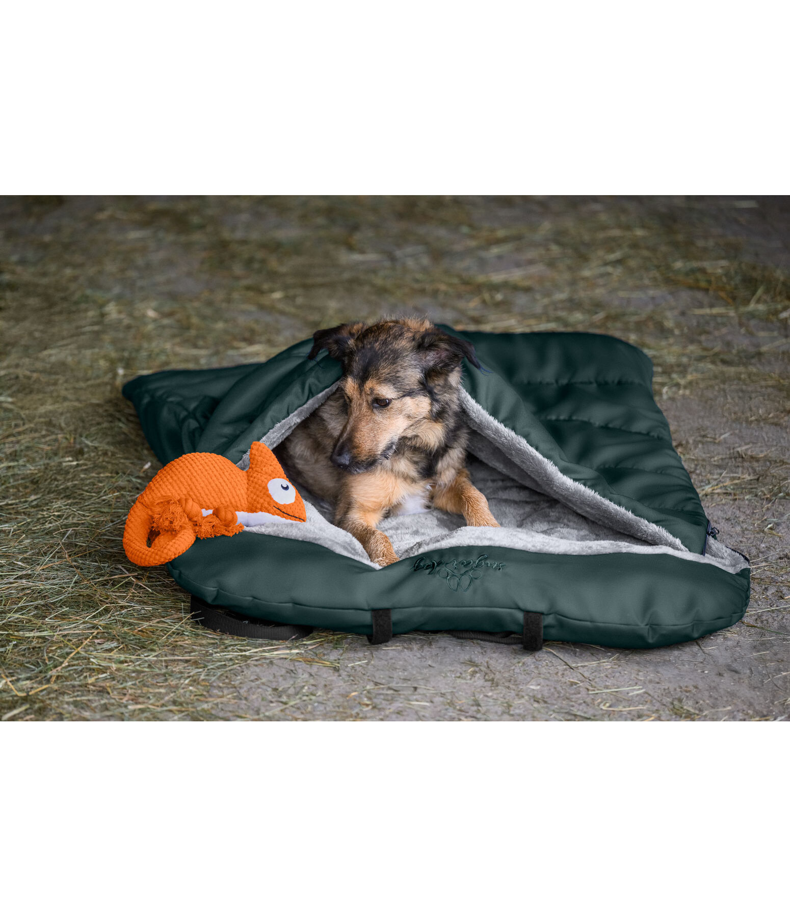 Sac de couchage pour chiens  Sirius