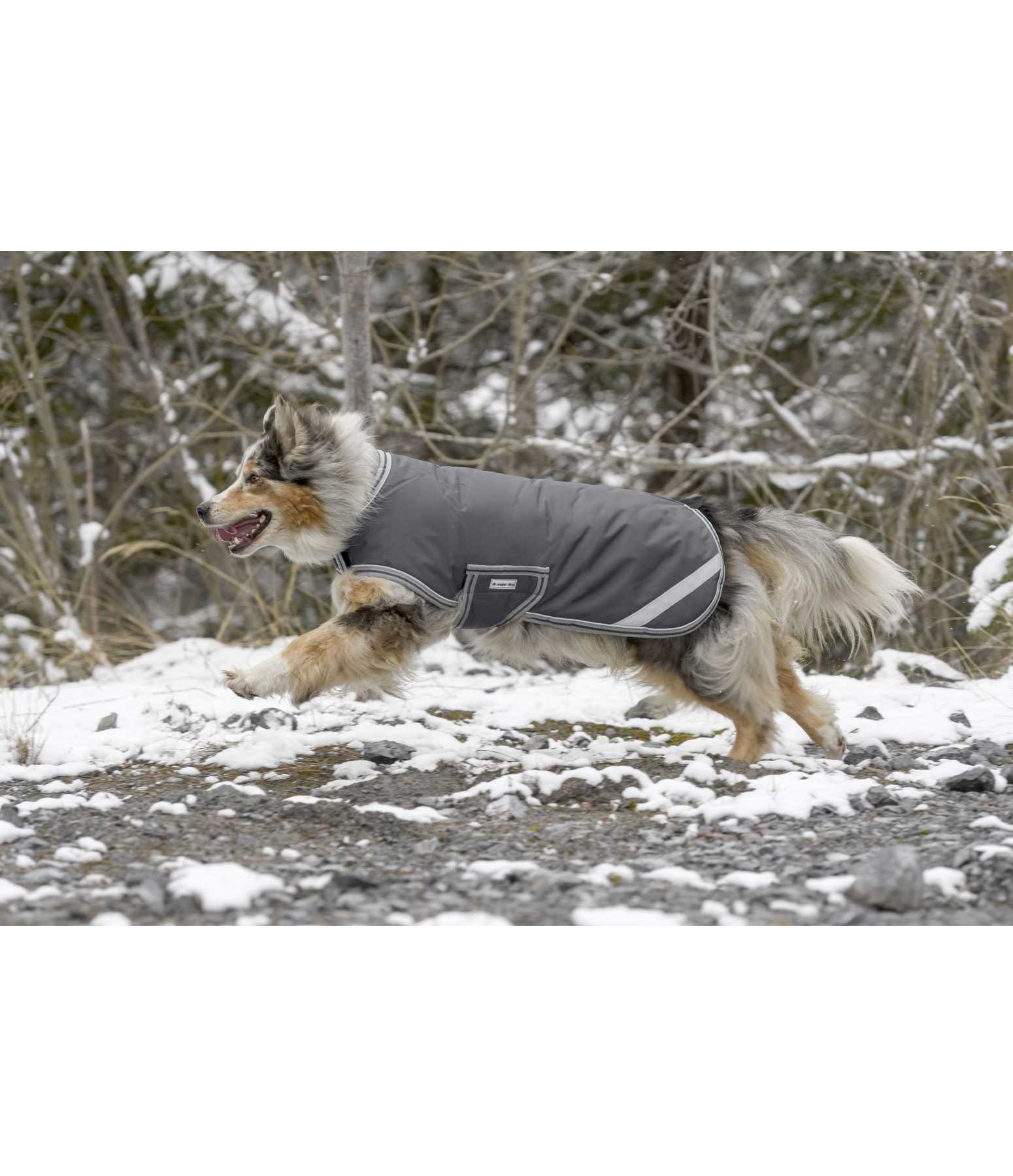Manteau d'hiver pour chien sugar dog by HORSEWARE 300 g