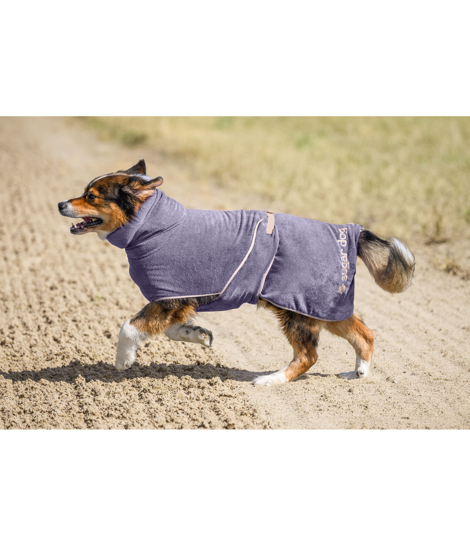 Chemise schante  Dry Dog II