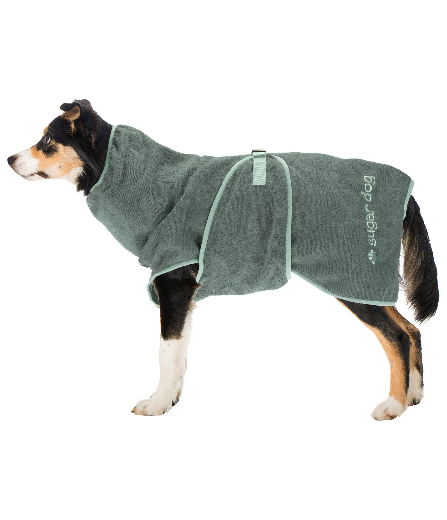 Chemise schante  Dry Dog II