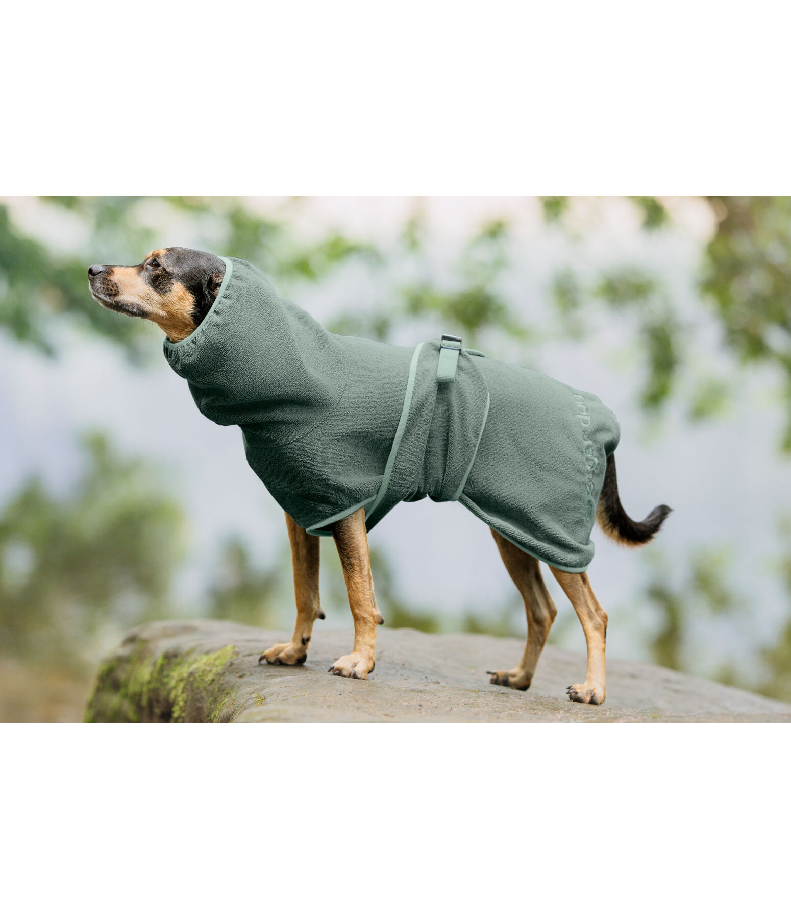 Chemise schante  Dry Dog II