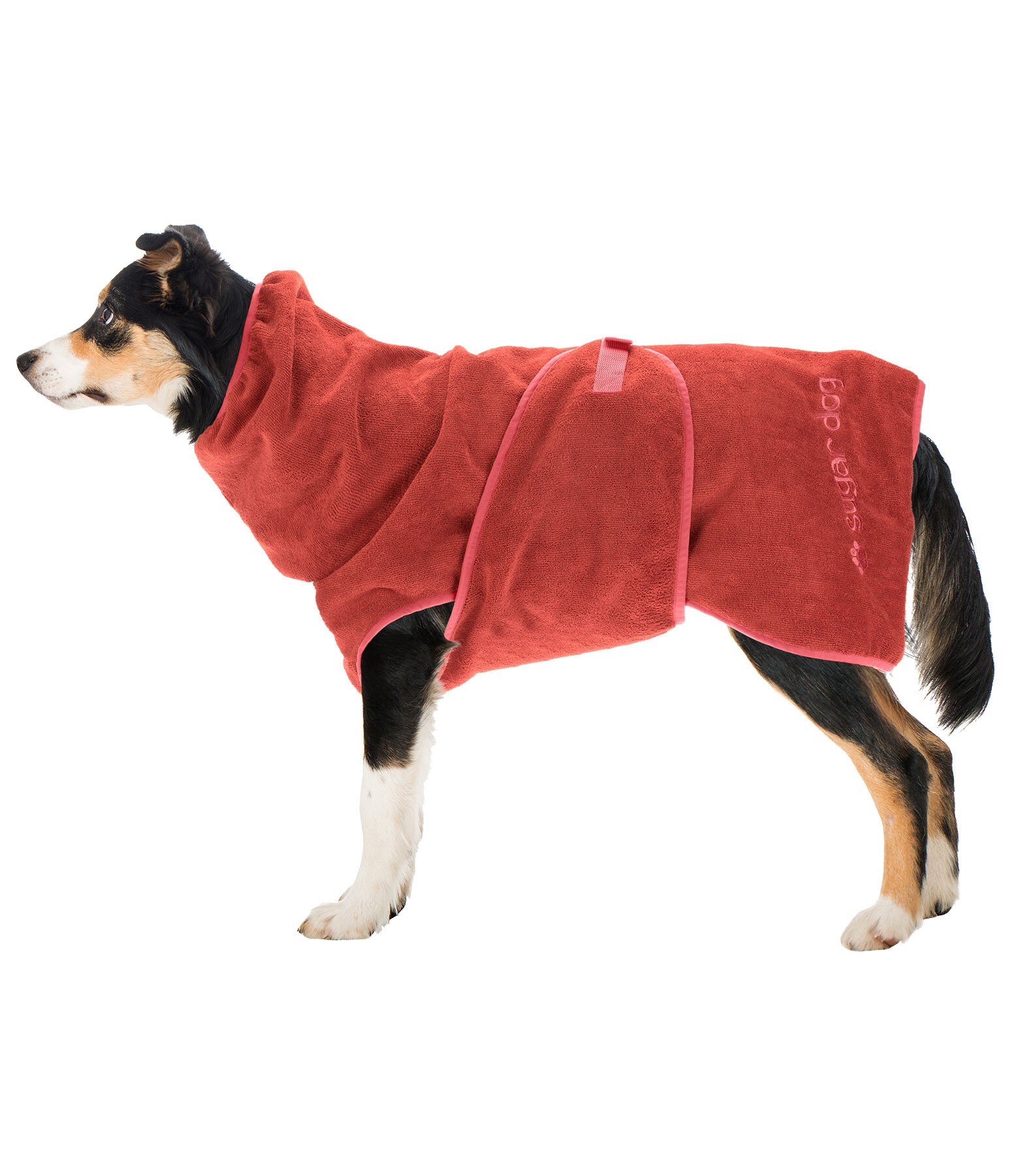 Chemise schante  Dry Dog II