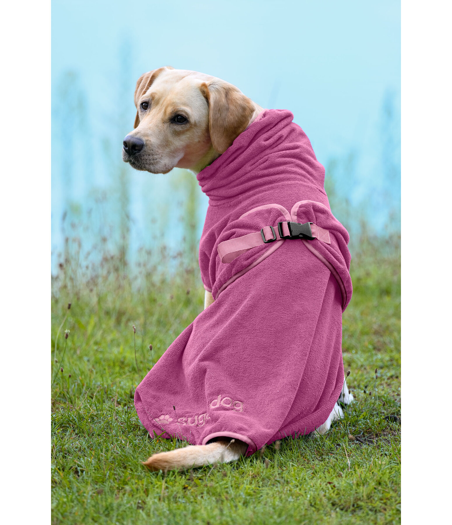 Chemise s�chante  Dry Dog II