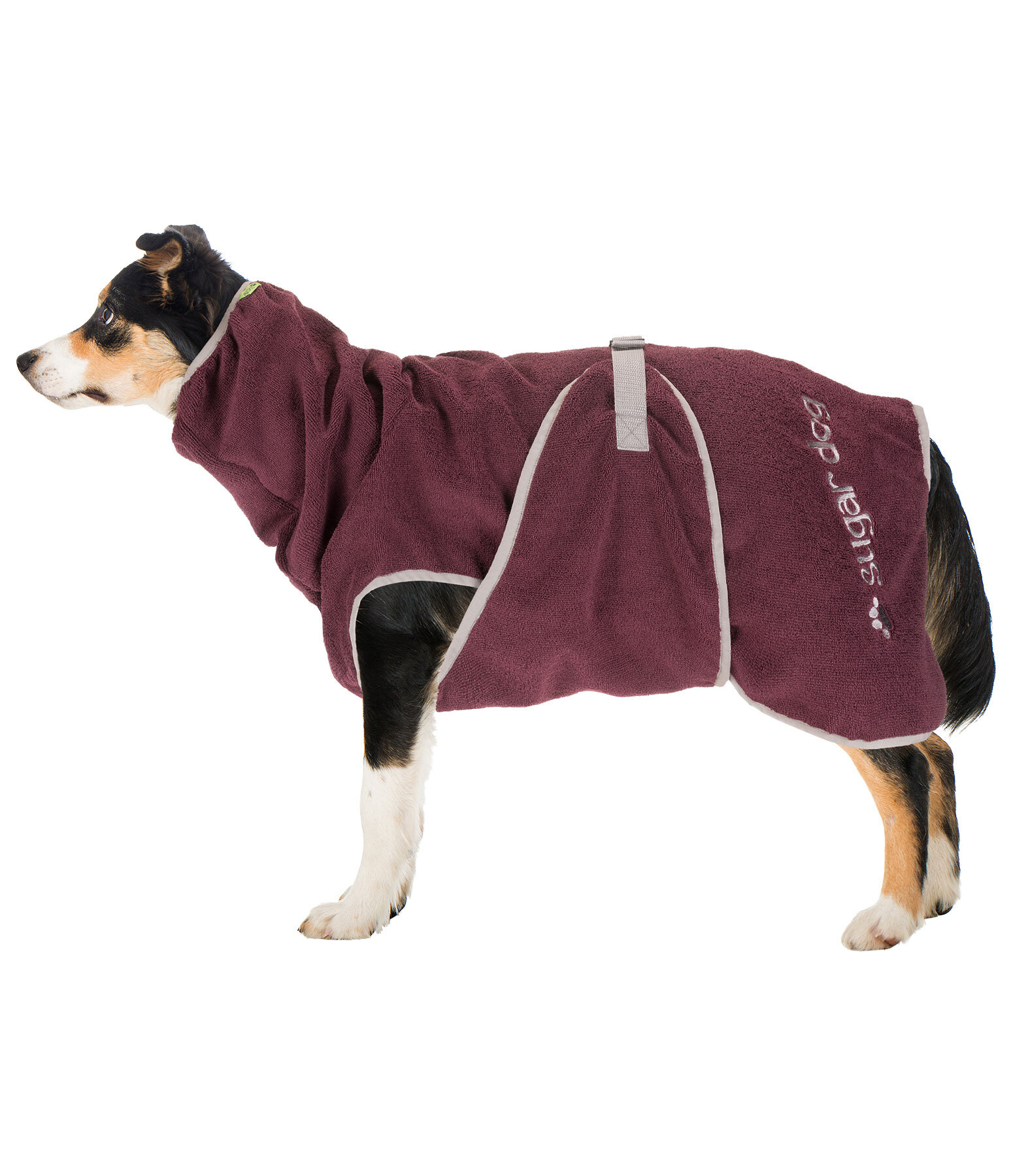 Chemise s�chante  Dry Dog II