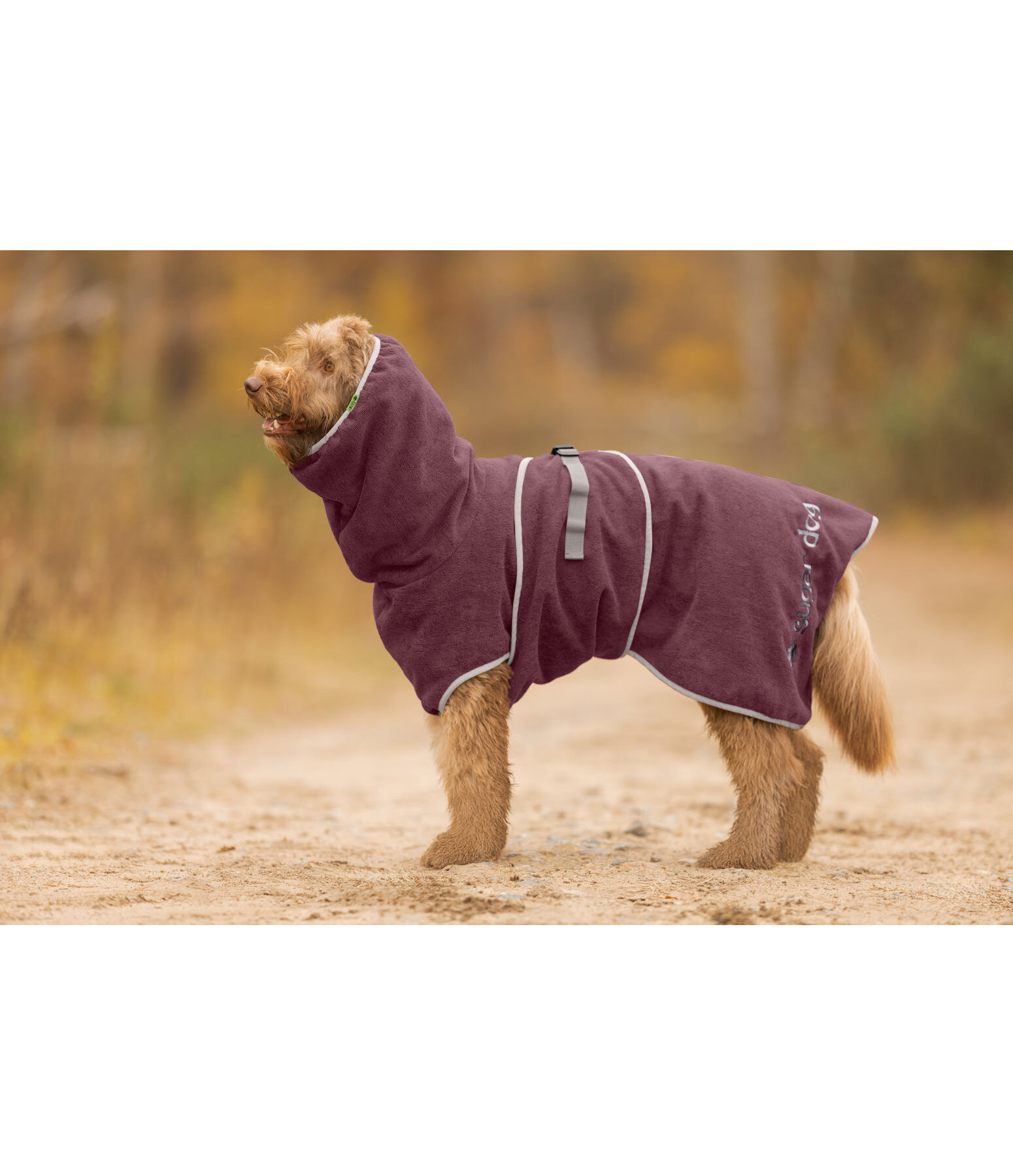Chemise s�chante  Dry Dog II