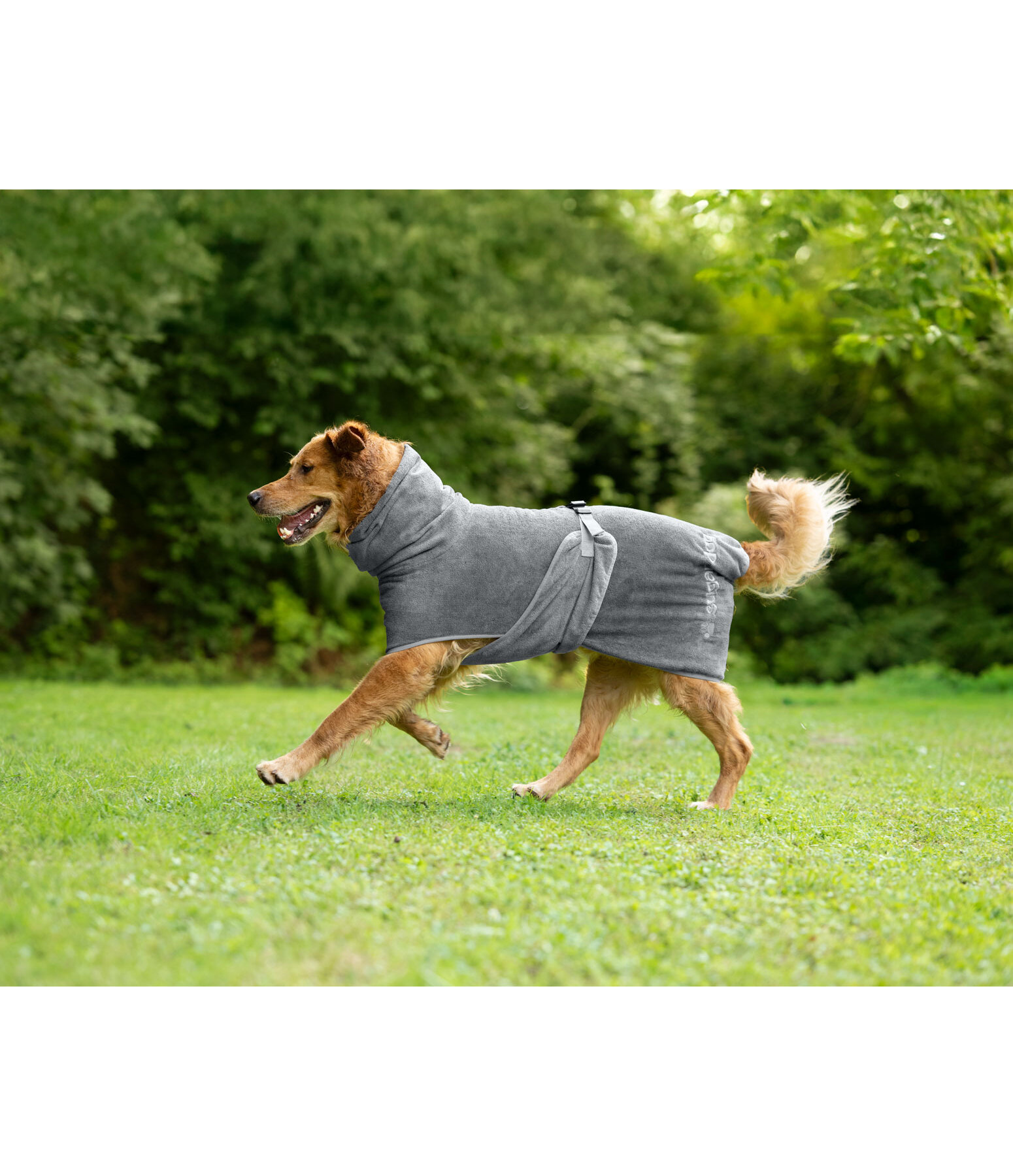 Chemise s�chante  Dry Dog II