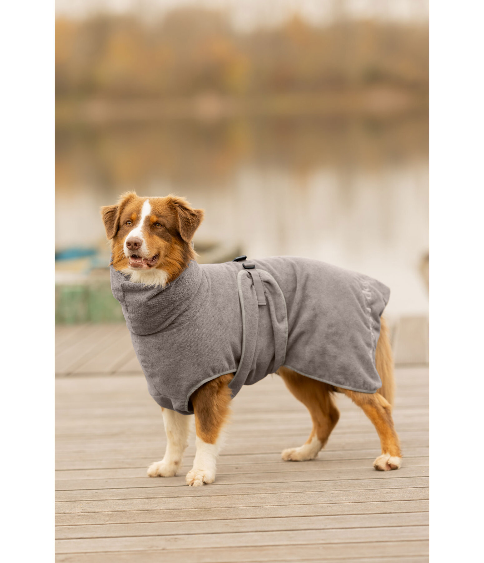 Chemise s�chante  Dry Dog II