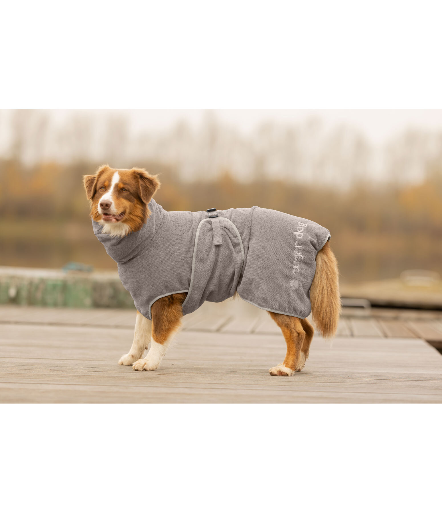 Chemise s�chante  Dry Dog II