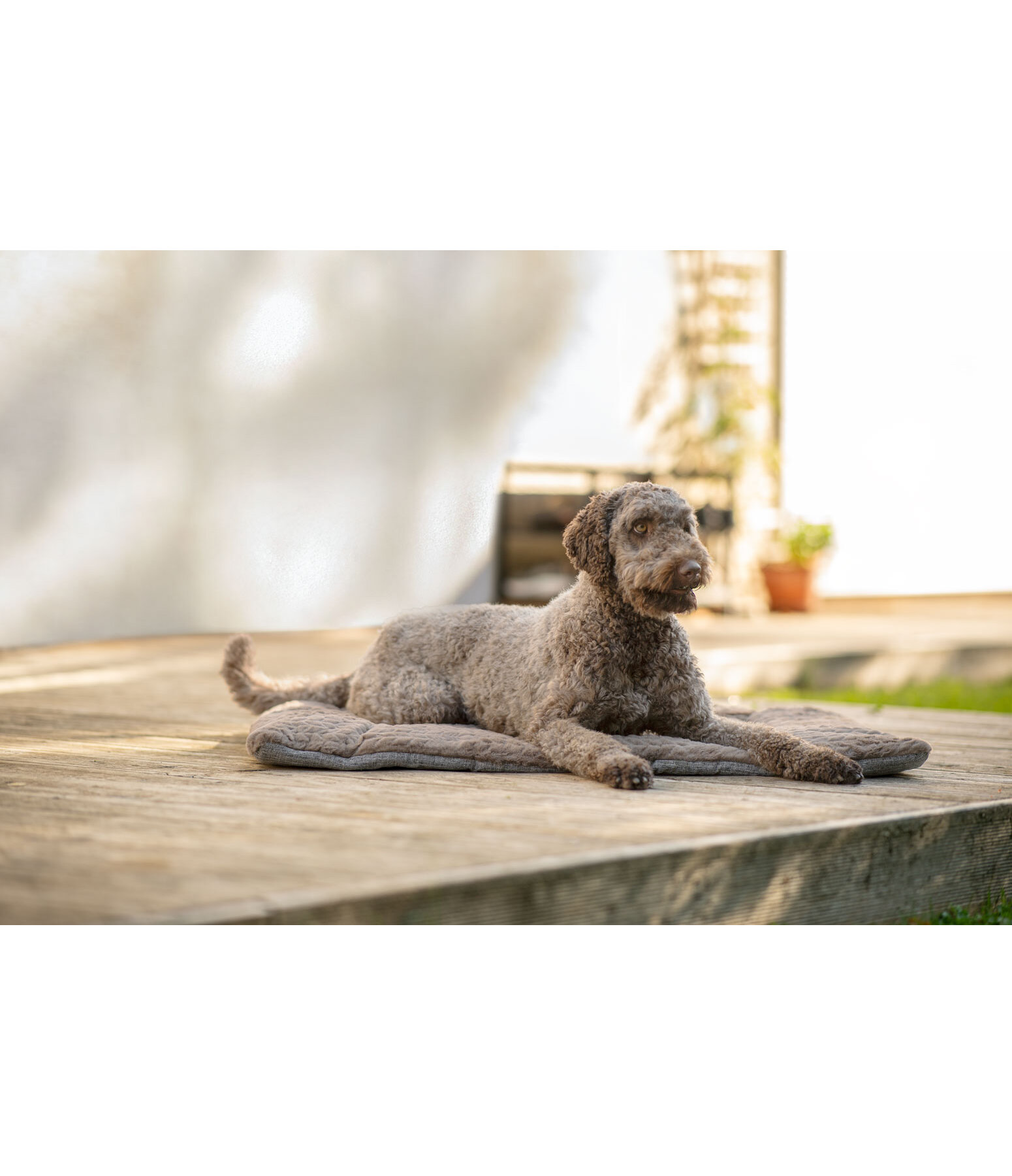 Tapis pour chiens  Let Me Sleep