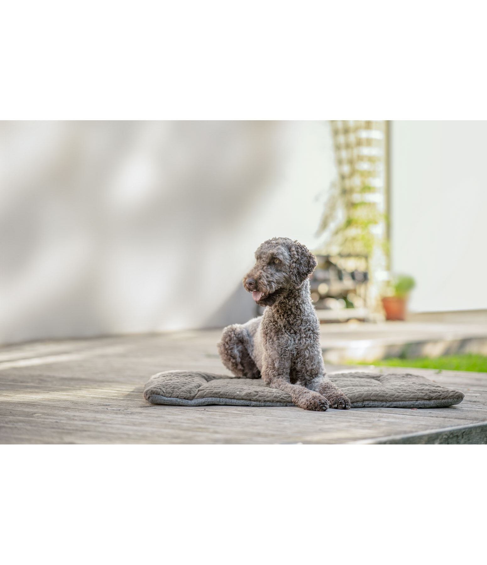 Tapis pour chiens  Let Me Sleep