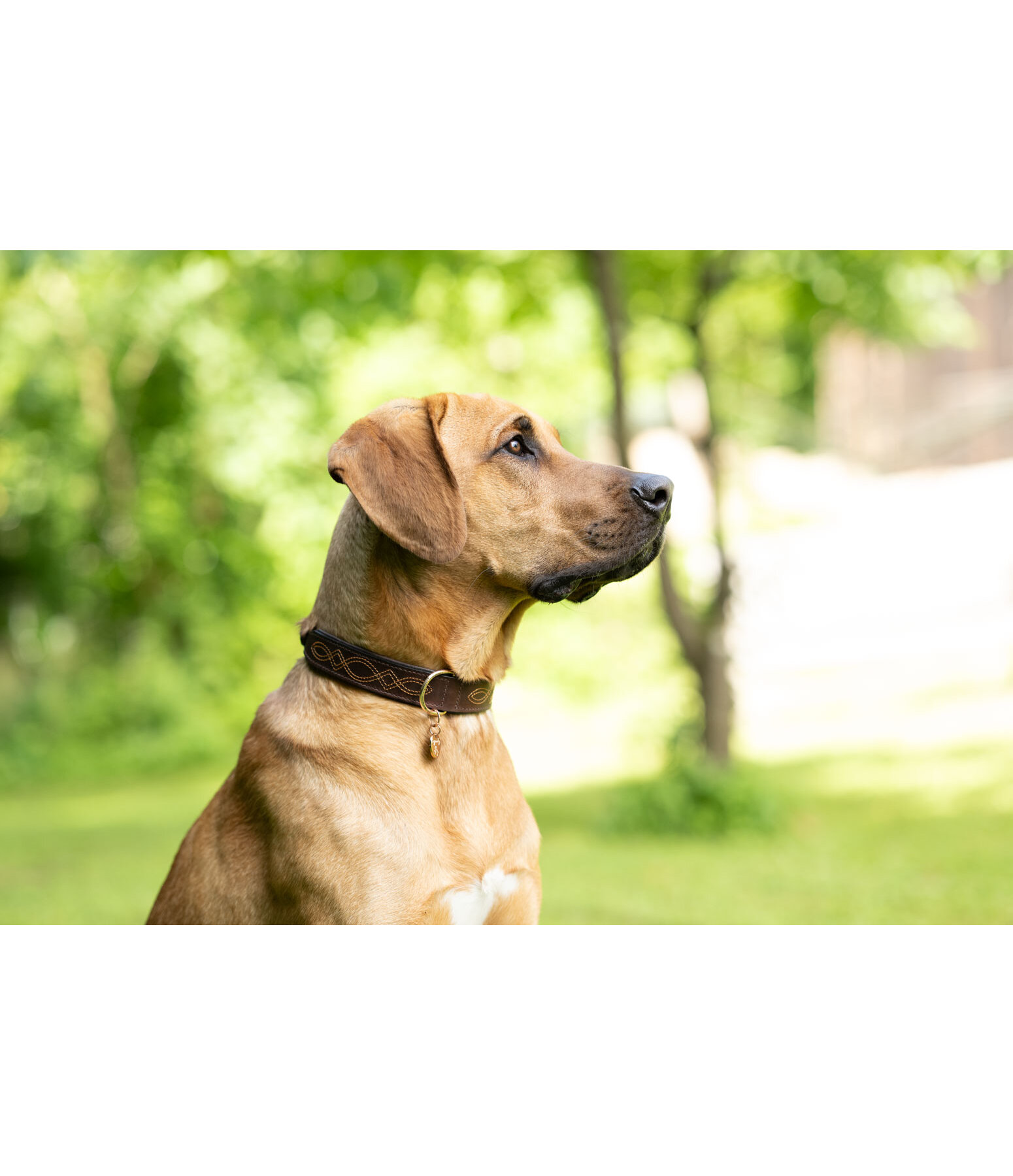 Collier en cuir  Livorno