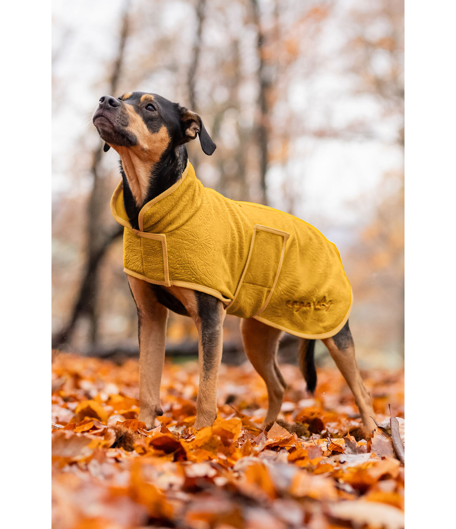 Manteau polaire pour chiens  Indian Summer