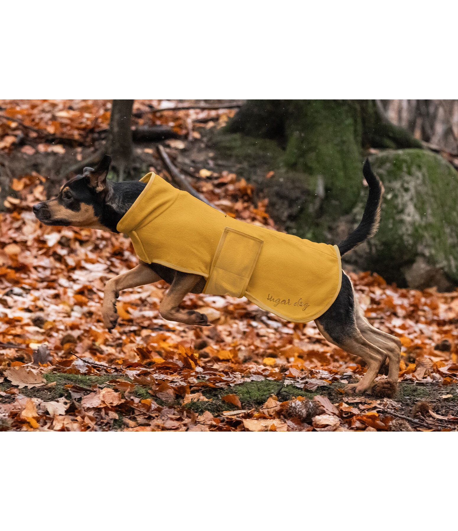 Manteau polaire pour chiens  Indian Summer