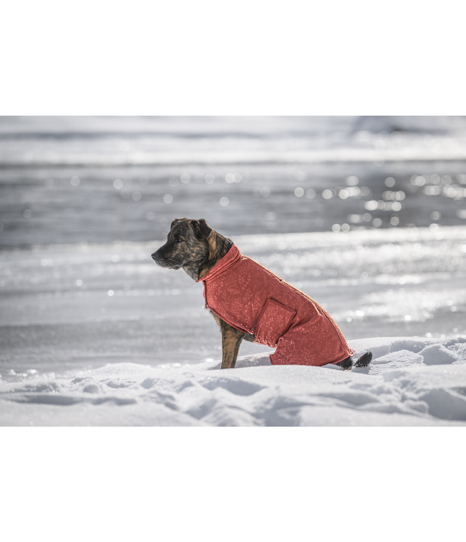 Manteau polaire pour chiens  Indian Summer