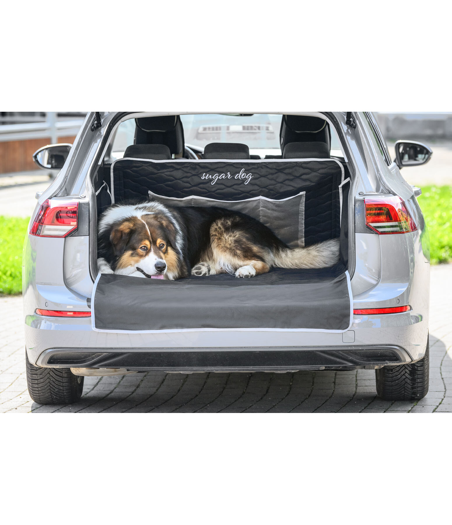 Tapis De Coffre Universel Pour Chien - 180x105 Cm - étanche Et Anti-rayures - Avec Protections Latérales