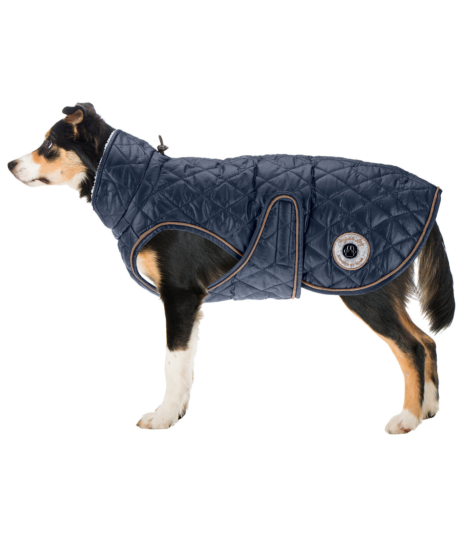 Manteau avec doublure en polaire Teddy pour chiens  Archie, 160 g