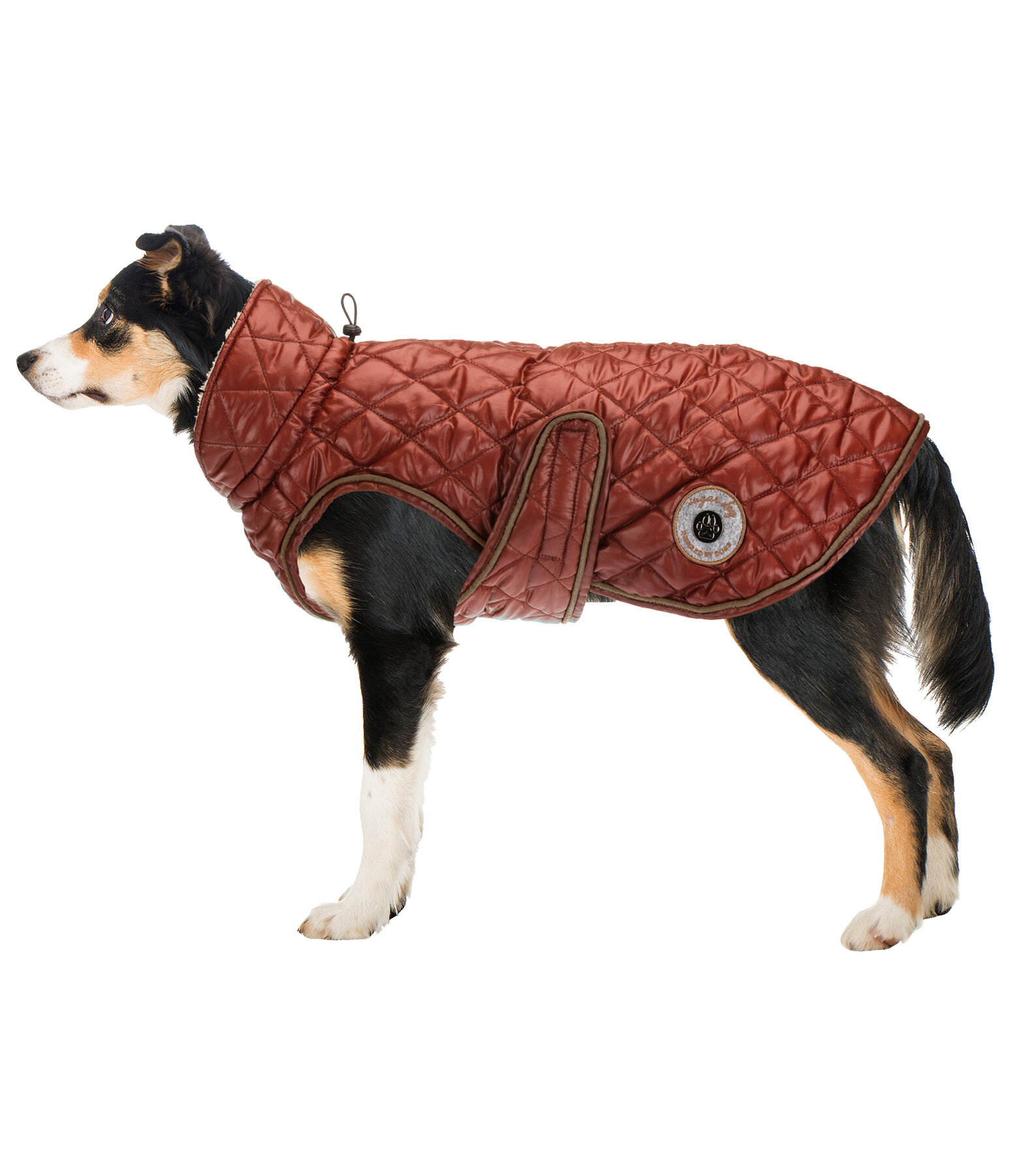 Manteau avec doublure en polaire Teddy pour chiens  Archie, 160 g