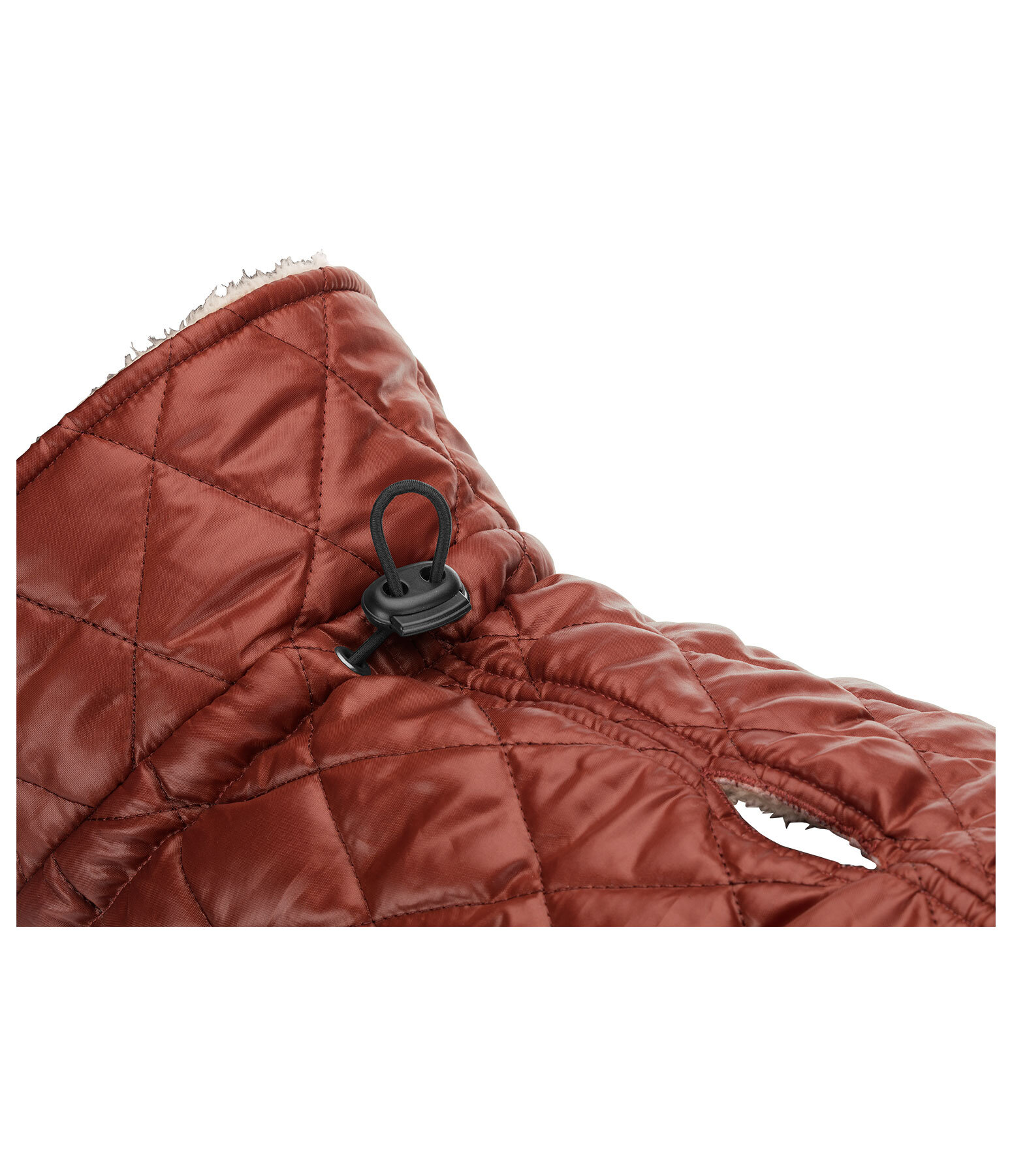 Manteau avec doublure en polaire Teddy pour chiens  Archie, 160 g