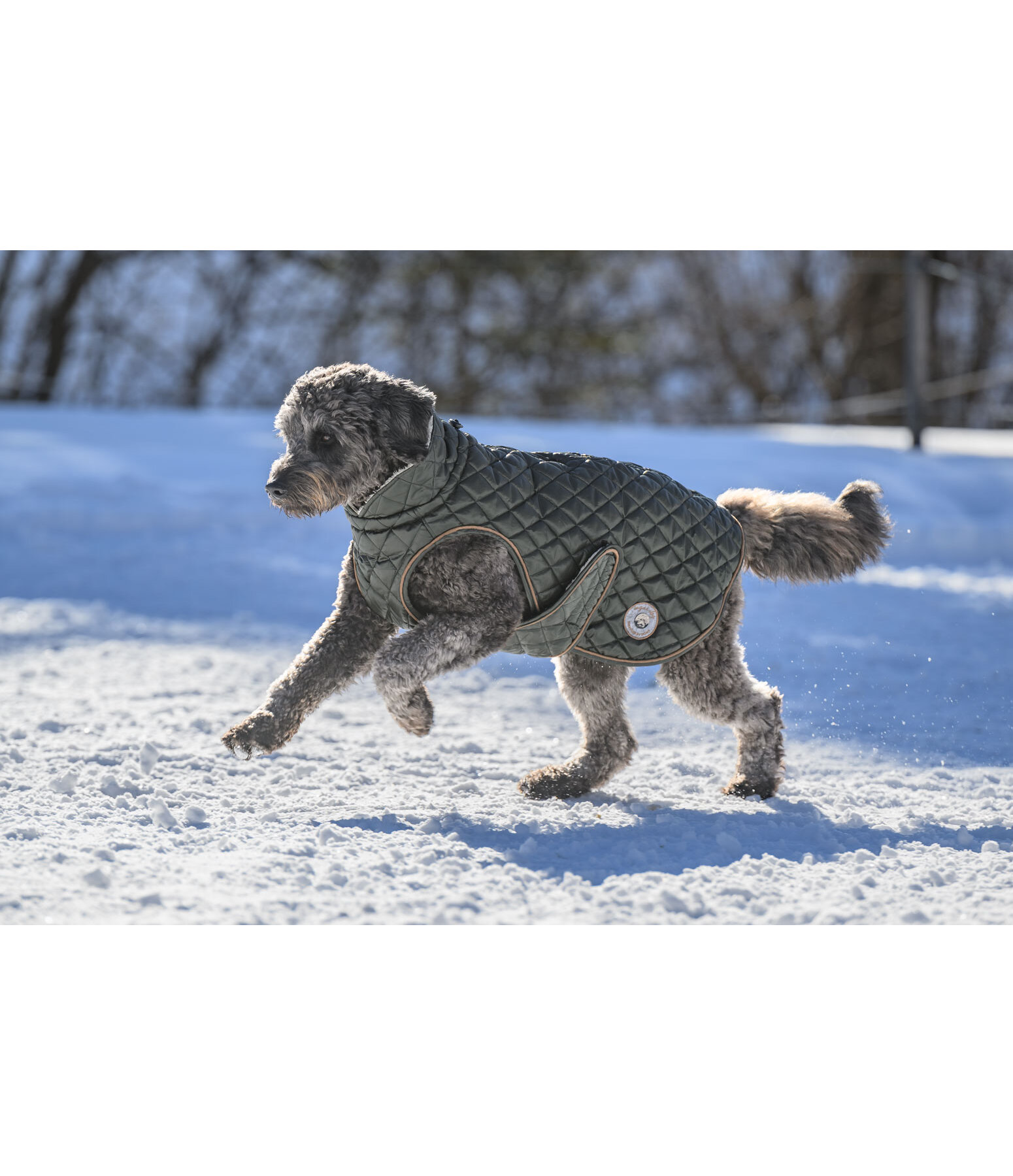 Manteau avec doublure en polaire Teddy pour chiens  Archie, 160 g
