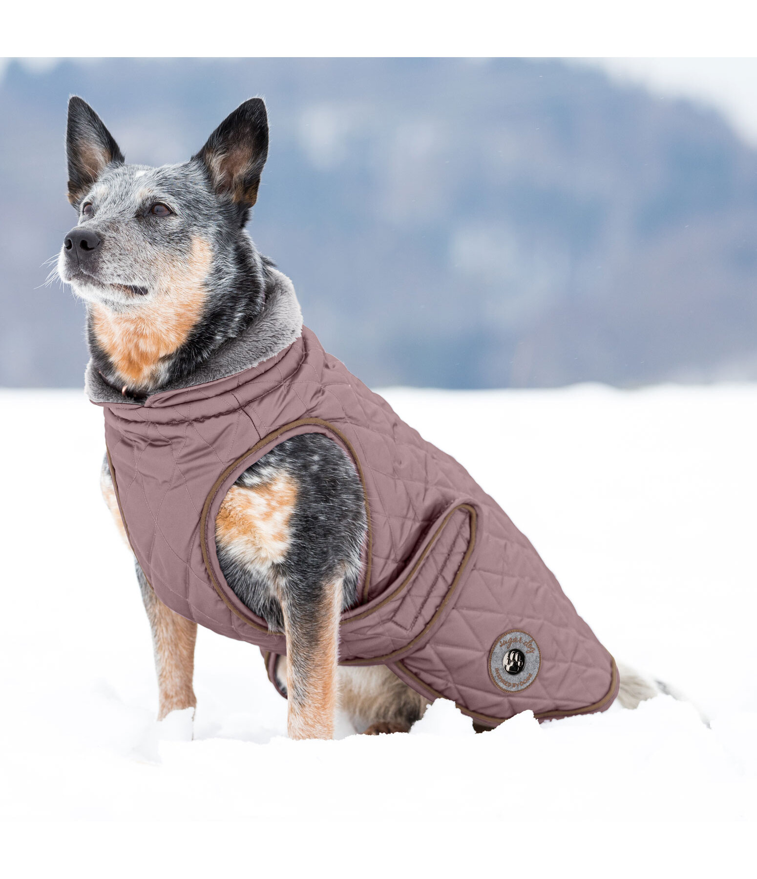 Manteau avec doublure en polaire Teddy pour chiens  Archie, 160 g