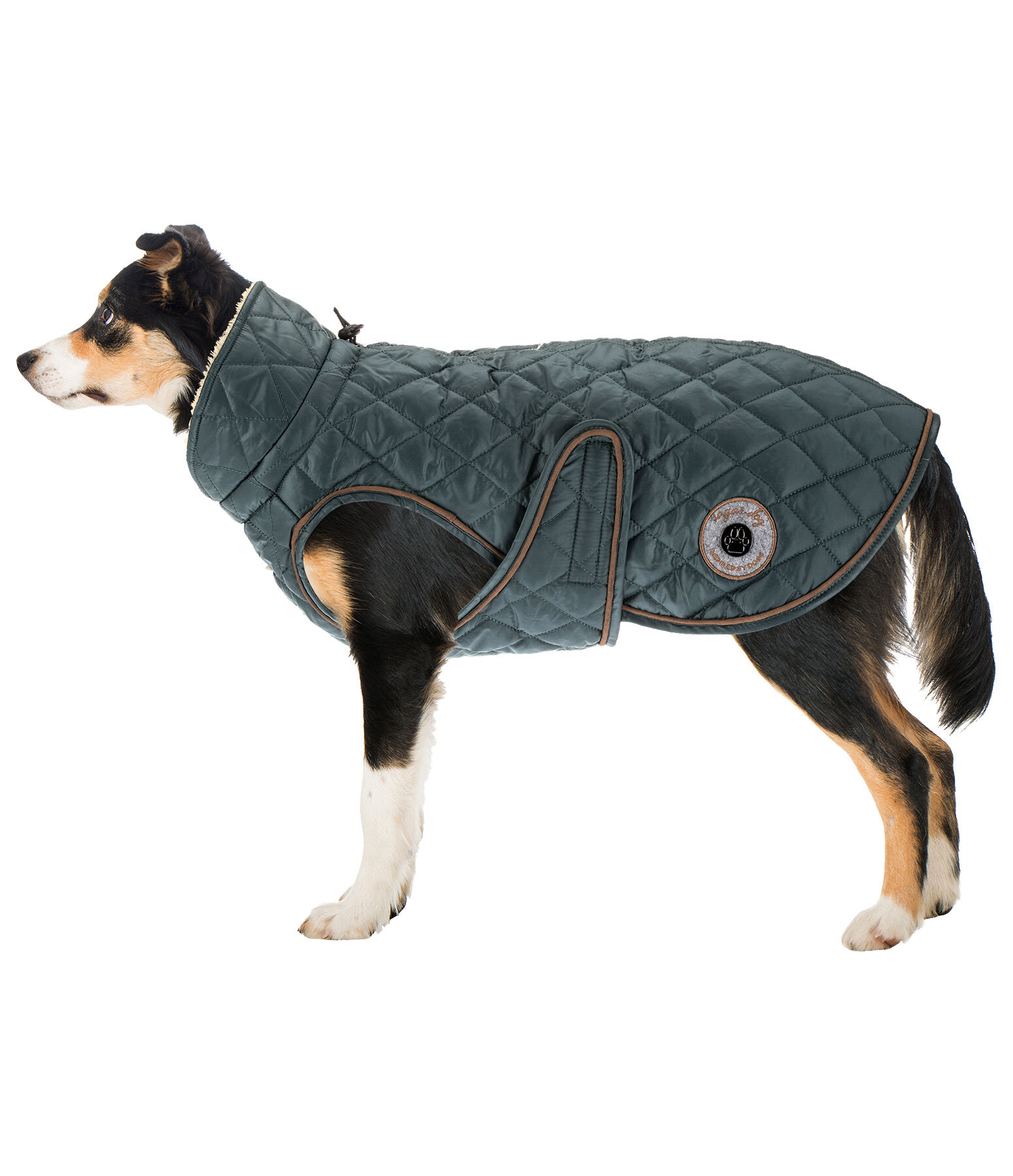 Manteau avec doublure en polaire Teddy pour chiens  Archie, 160 g