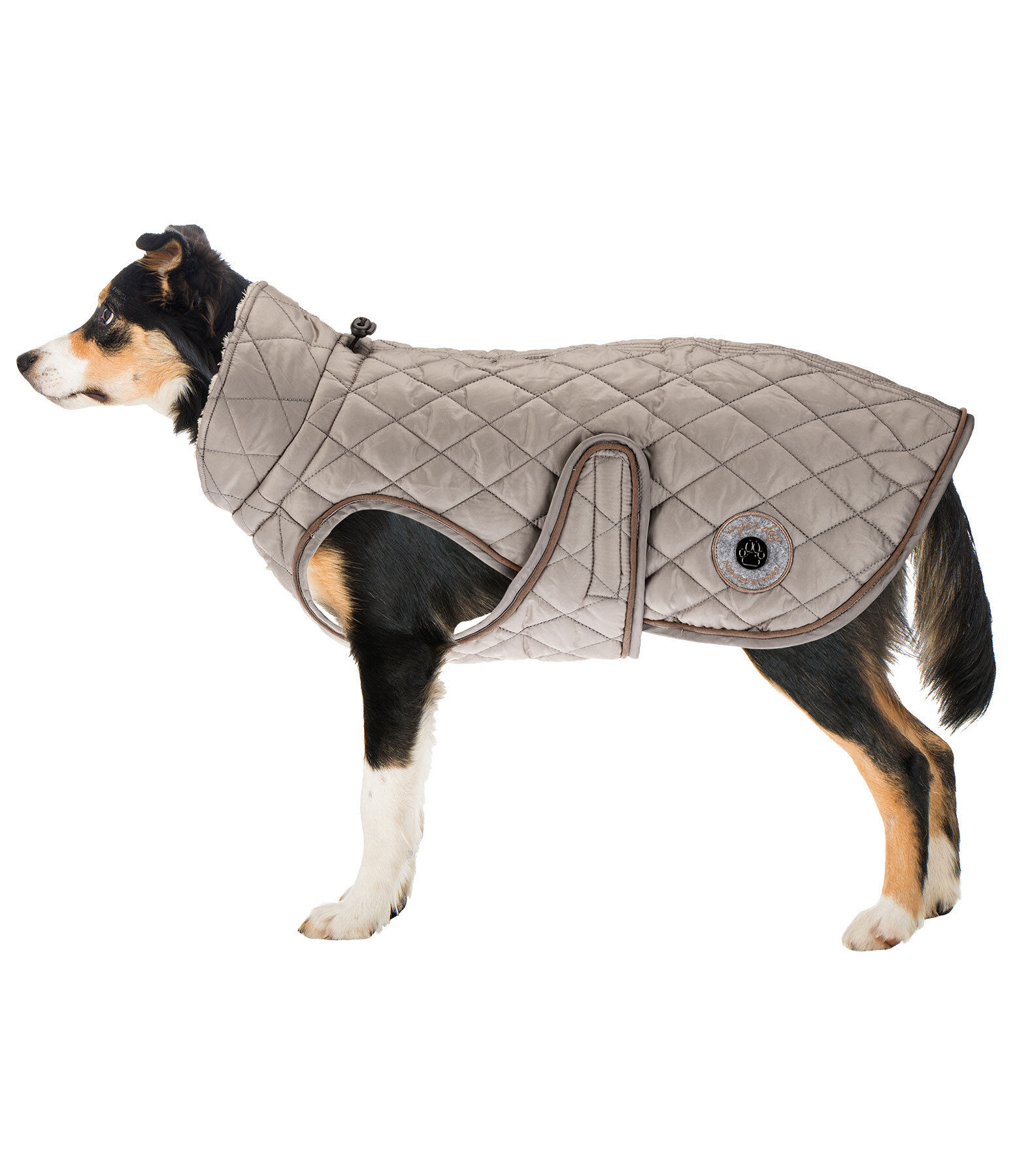 Manteau avec doublure en polaire Teddy pour chiens  Archie, 160 g
