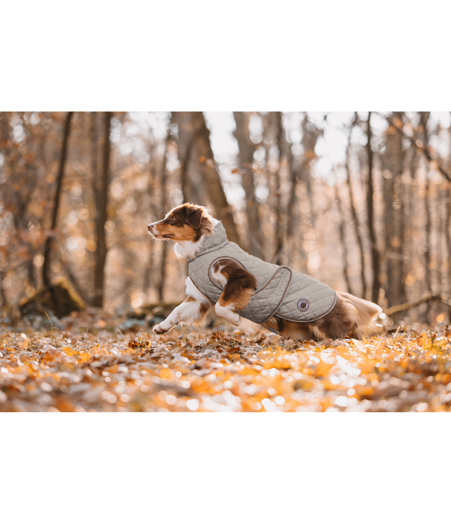Manteau avec doublure en polaire Teddy pour chiens  Archie, 160 g