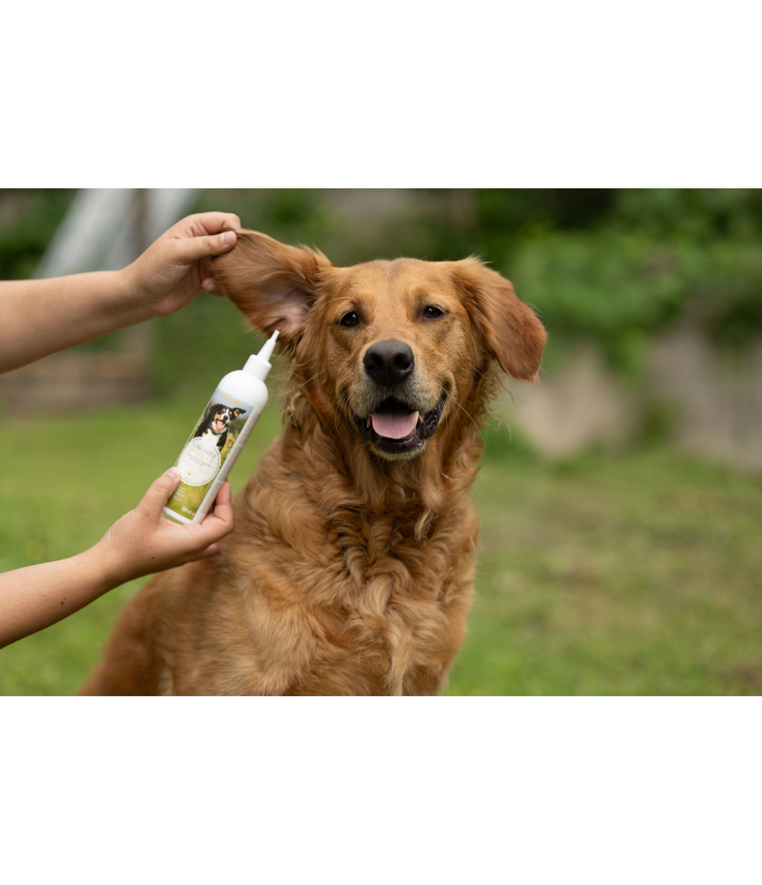 Nettoyant pour oreilles  Listen Up