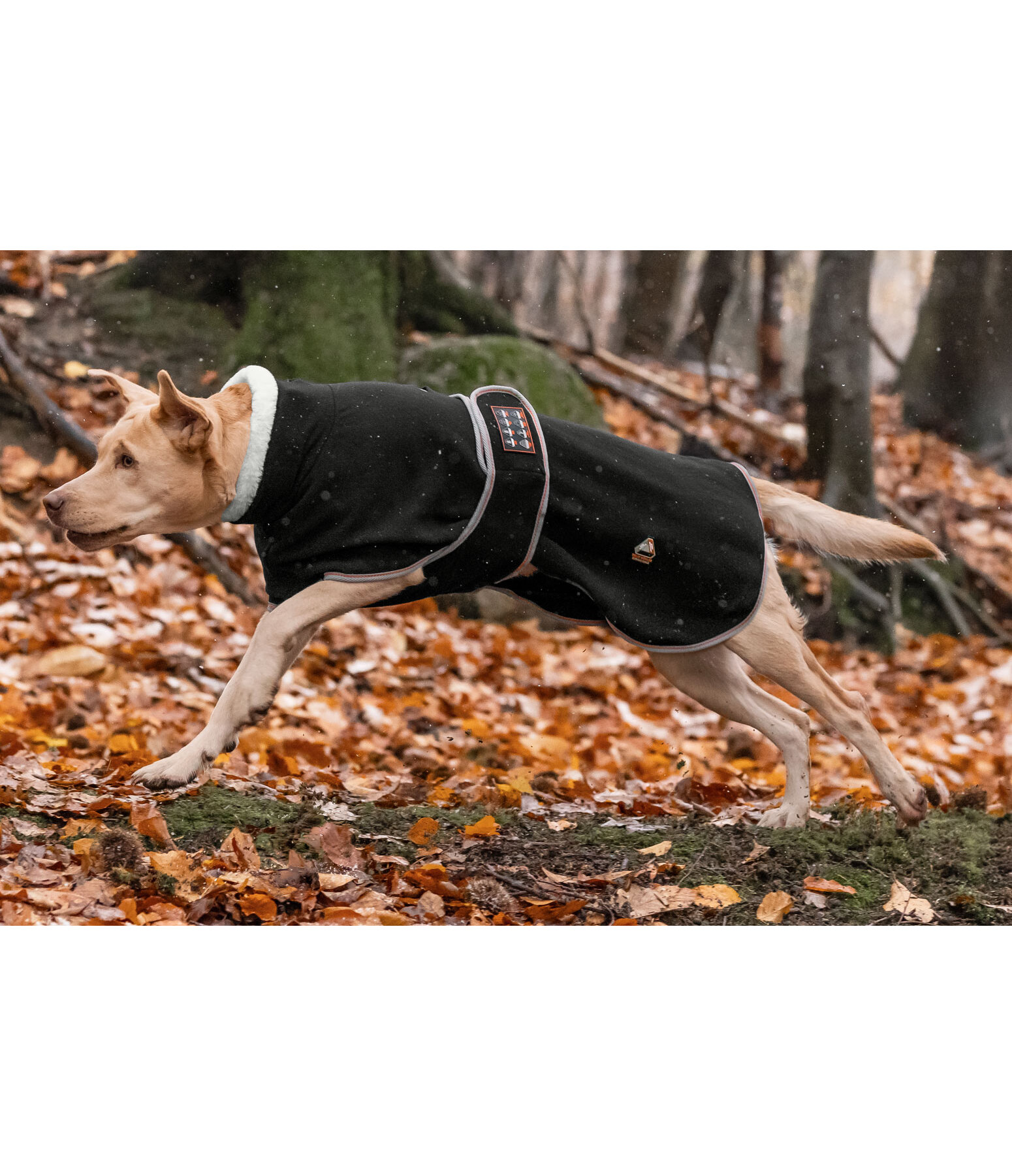 Manteau polaire pour chiens  Ceramic Rehab