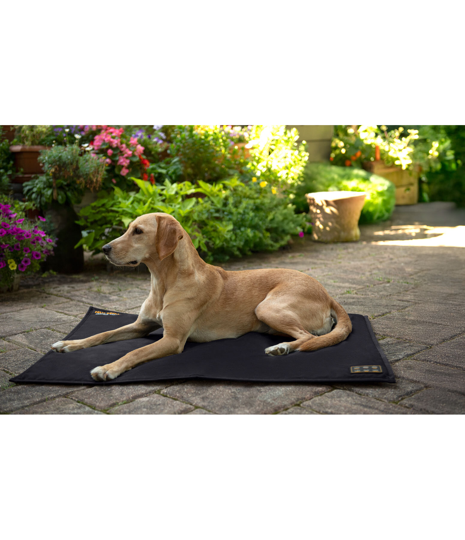 Coussin thermique pour chiens  Ceramic Rehab