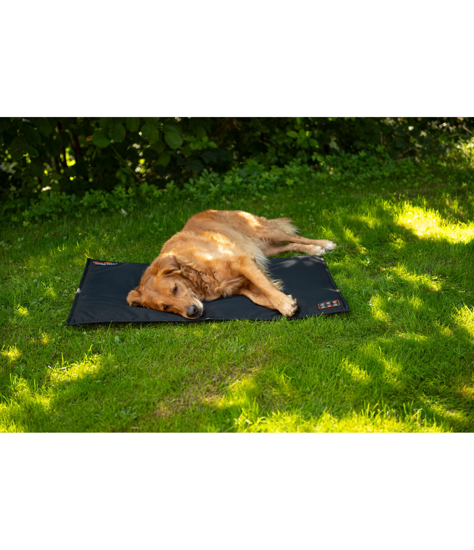 Coussin thermique pour chiens  Ceramic Rehab