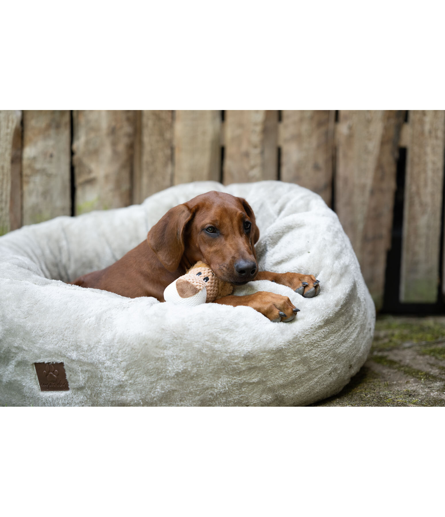 Peluche lion pour chiens  Lio