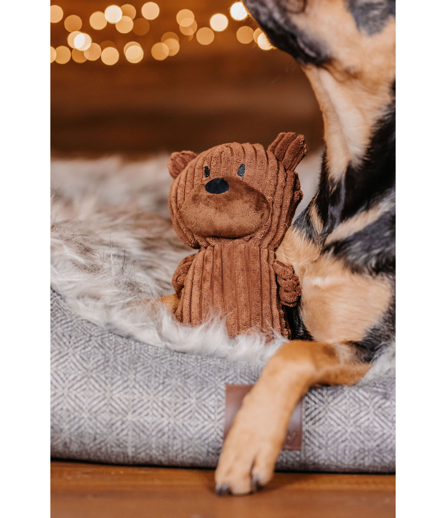 Peluche ours pour chiens  Bruno