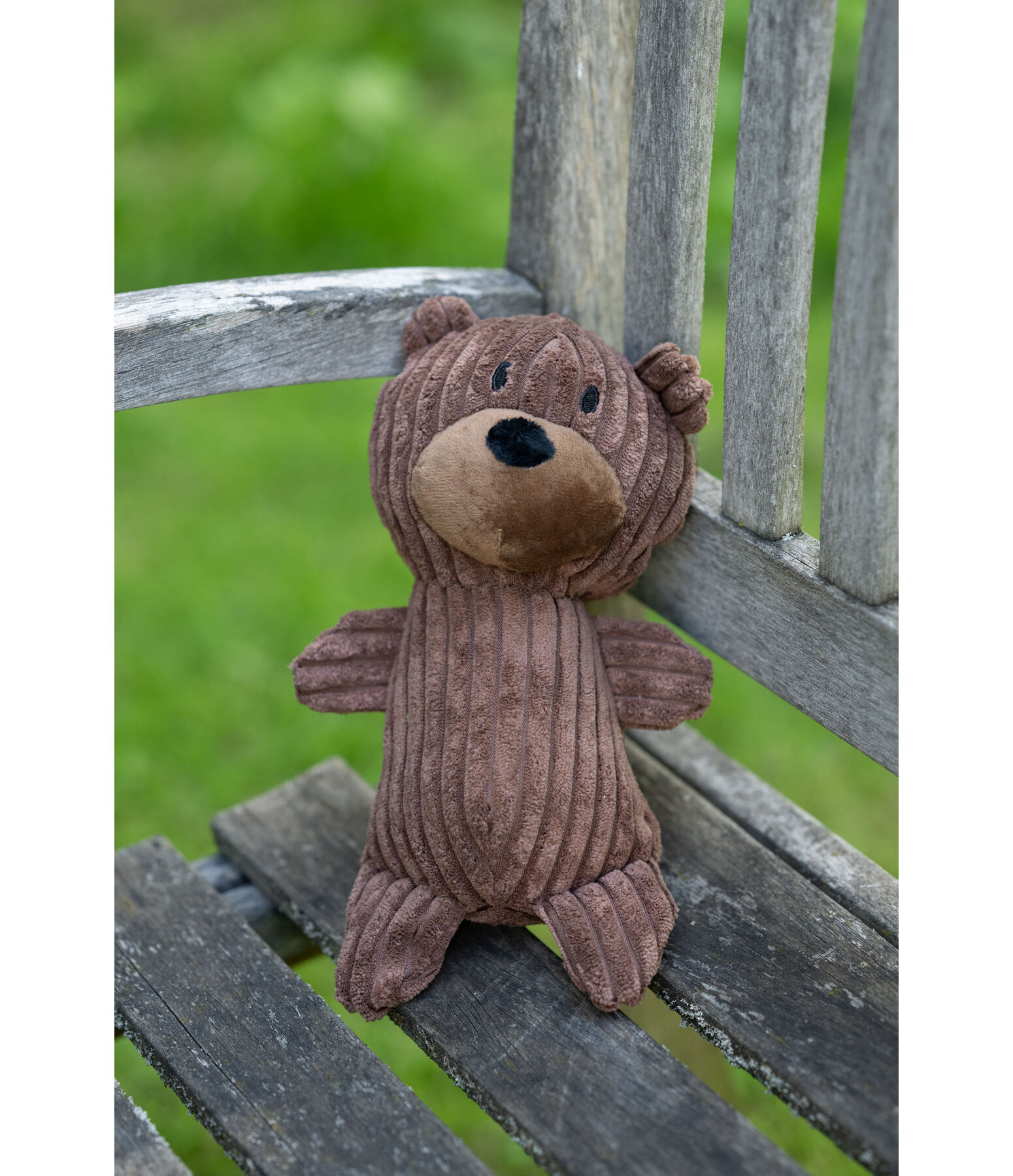 Peluche ours pour chiens  Bruno