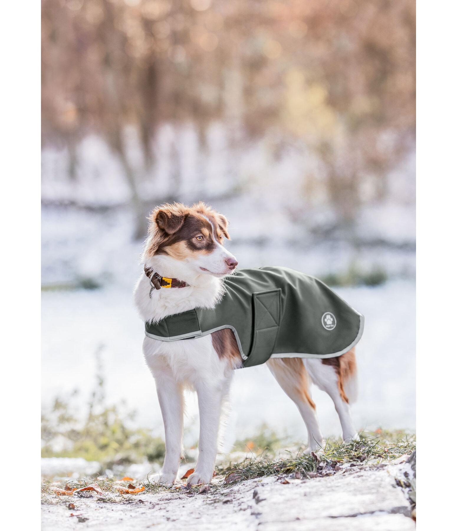 Manteau de marcheur en softshell pour chiens  Athlete, 0 g