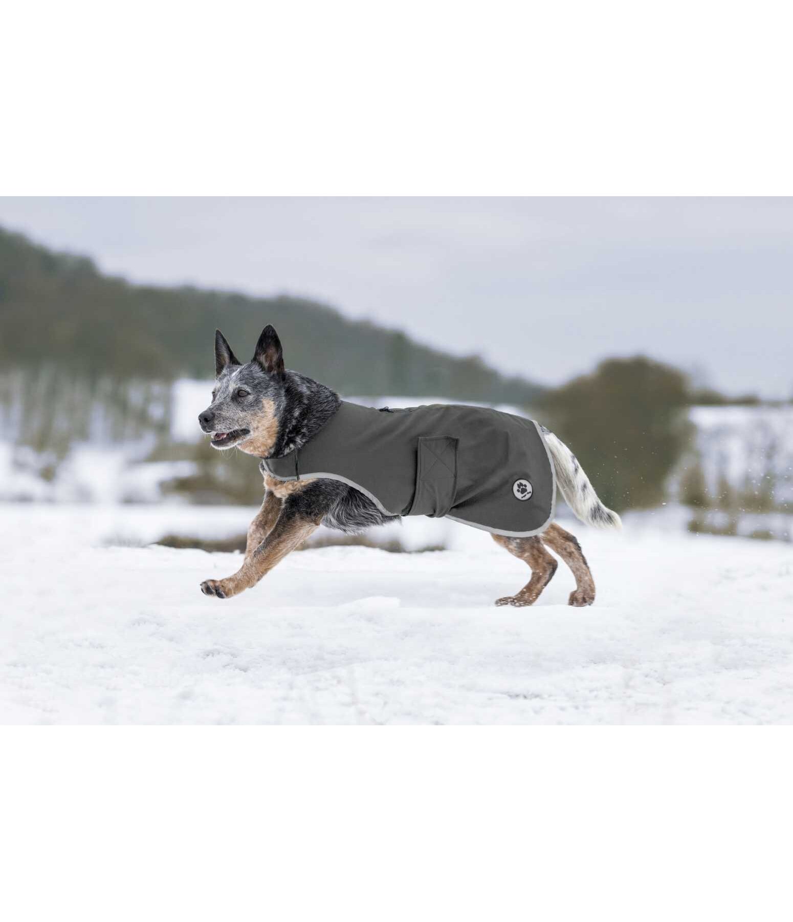 Manteau de marcheur en softshell pour chiens  Athlete, 0 g