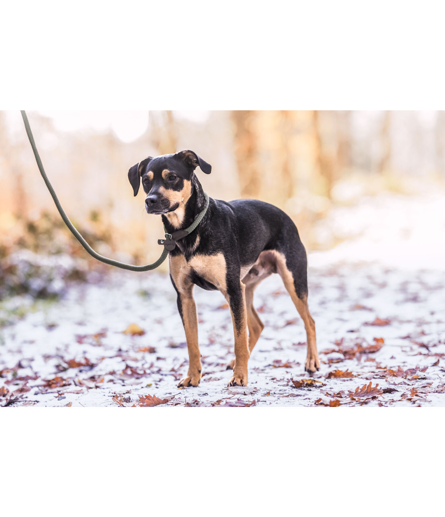 Laisse retriever  Nature Rope