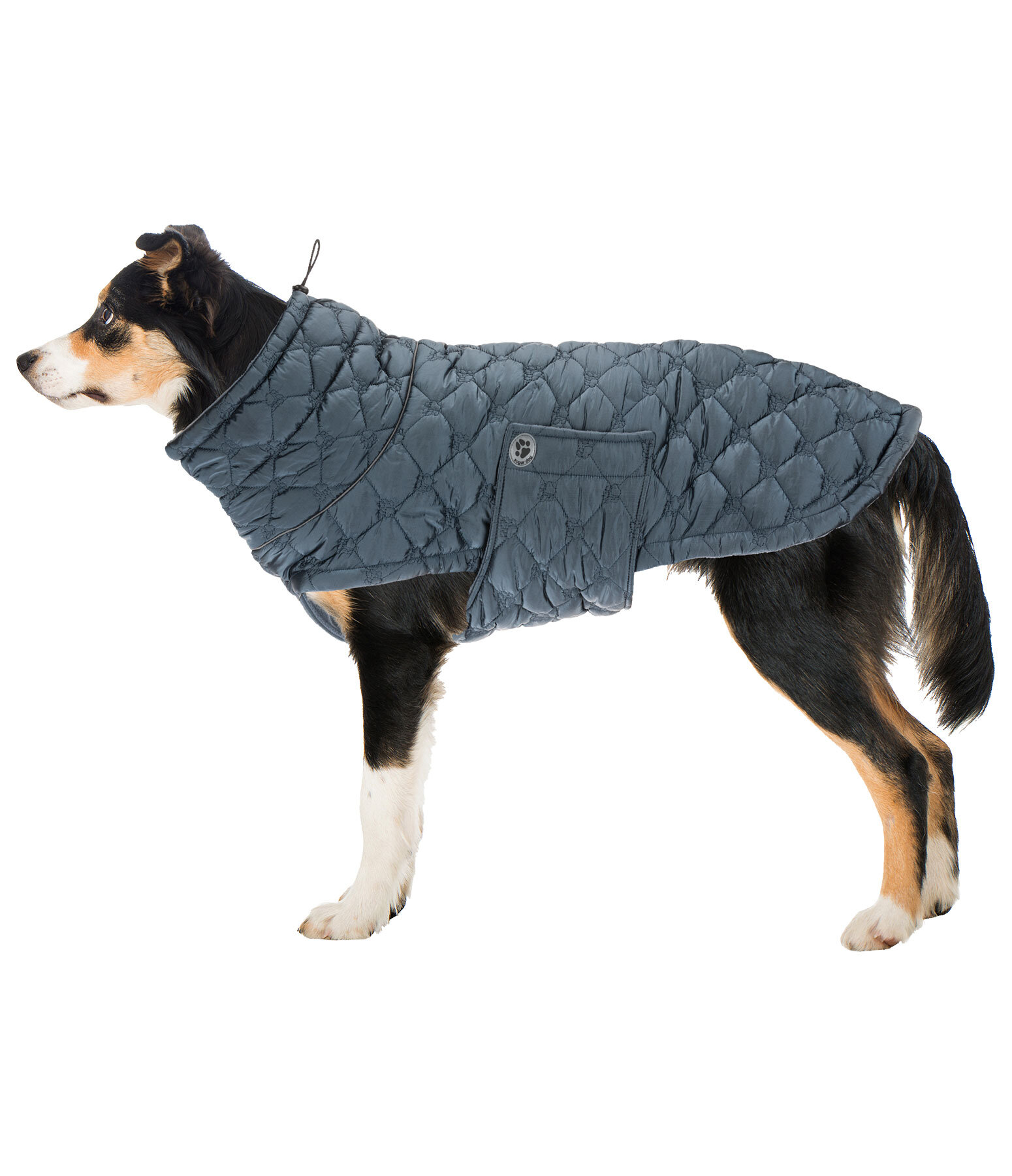 Manteau pour chiens lger matelass avec doublure polaire  Cliff, 200 g