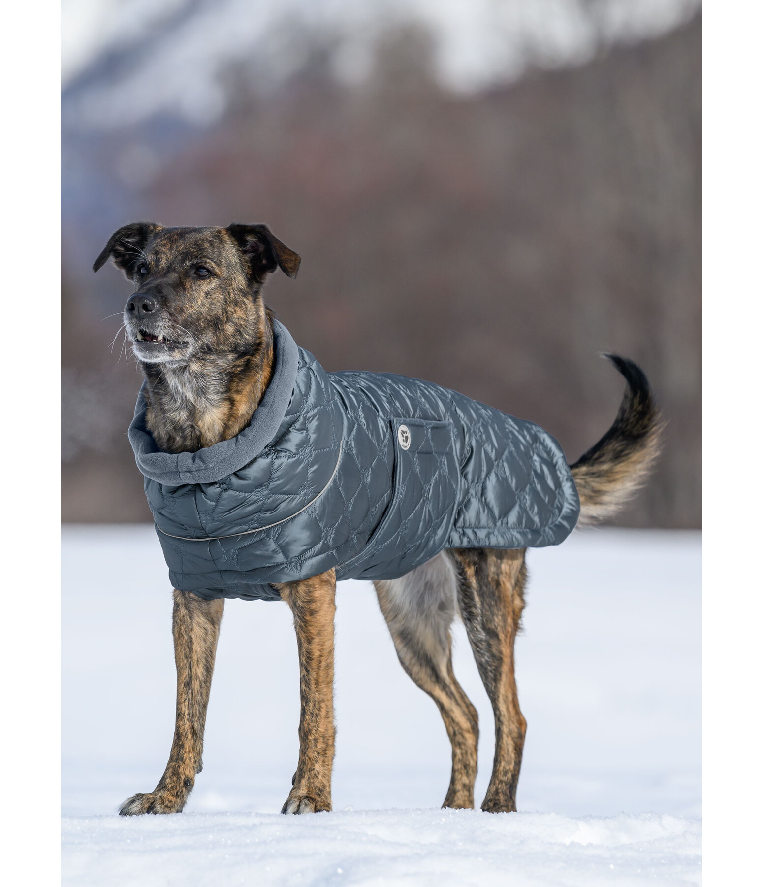 Manteau pour chiens lger matelass avec doublure polaire  Cliff, 200 g