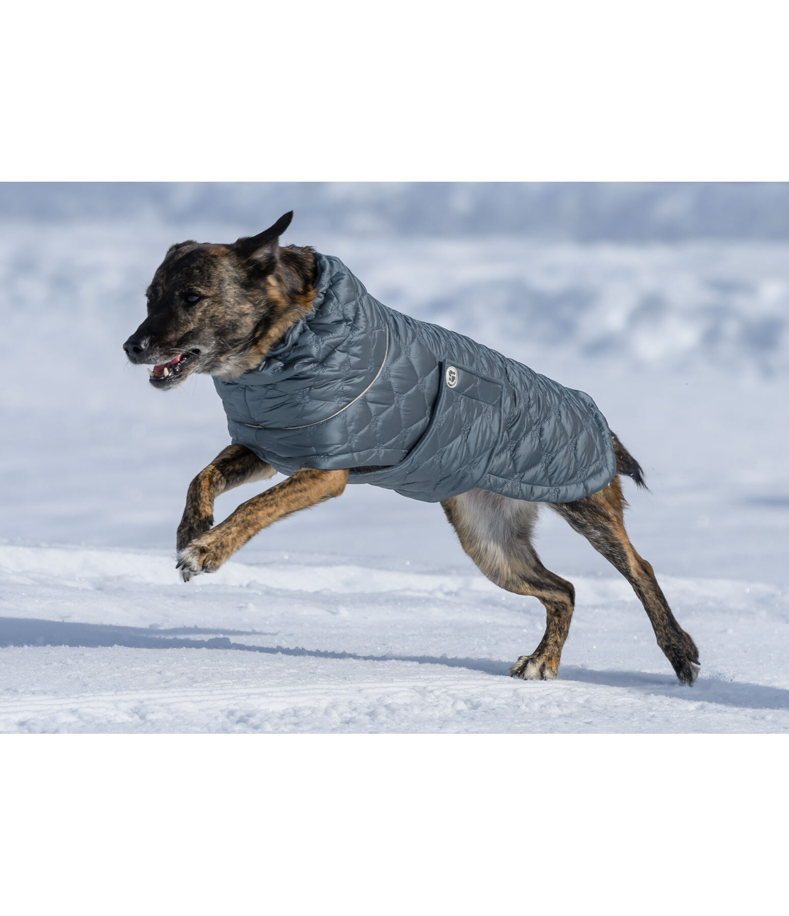 Manteau pour chiens lger matelass avec doublure polaire  Cliff, 200 g