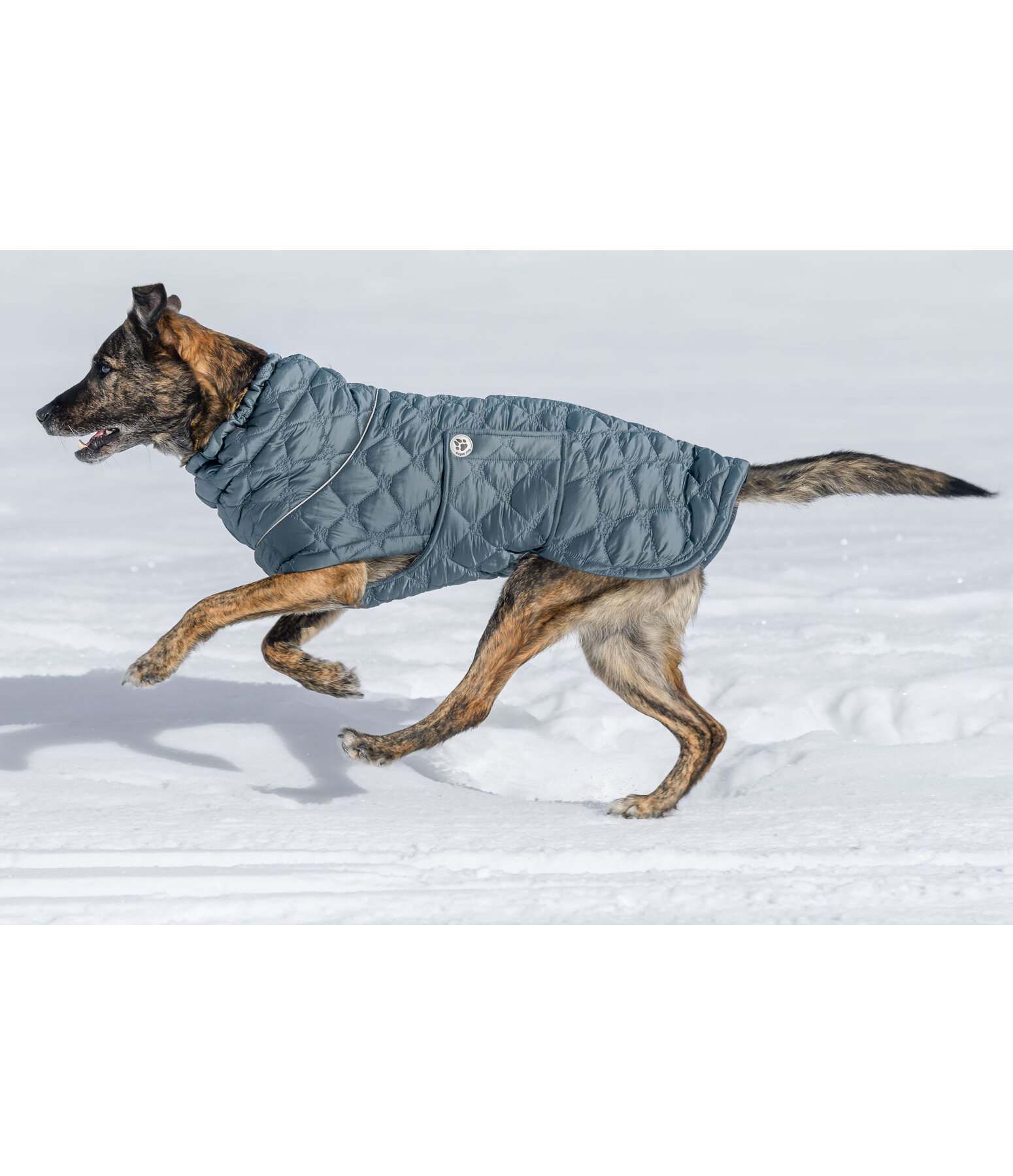 Manteau pour chiens lger matelass avec doublure polaire  Cliff, 200 g