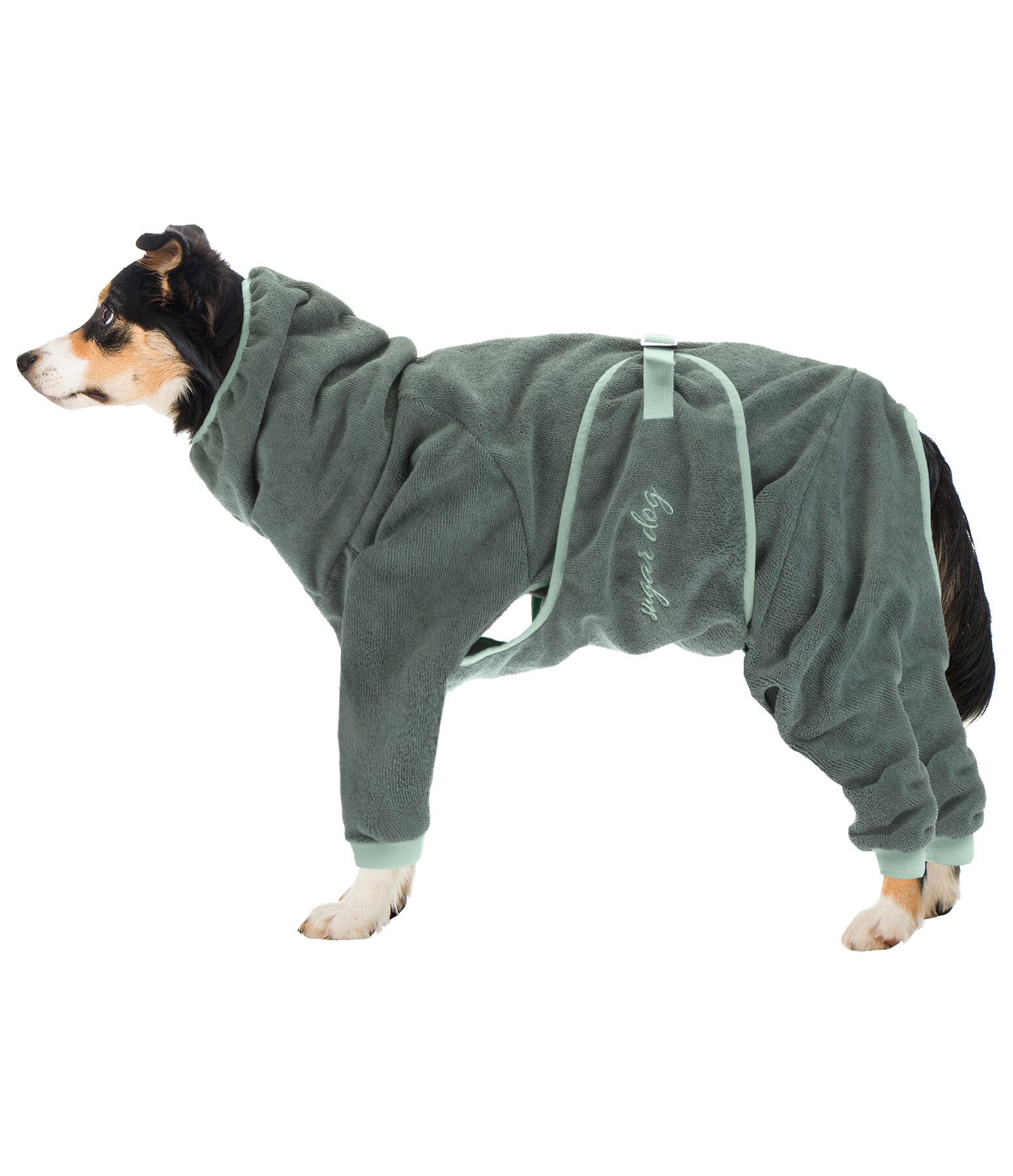 Peignoir pour chiens  Allover Dry