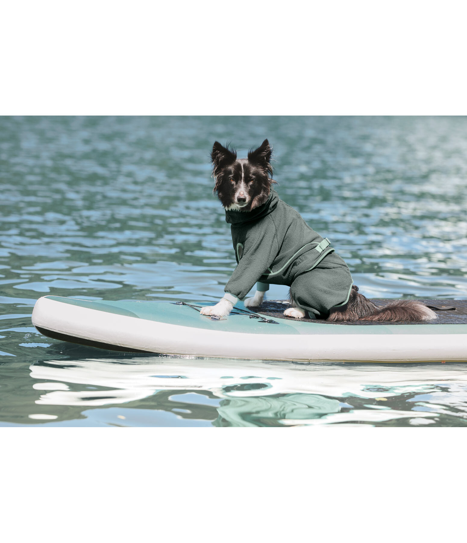 Peignoir pour chiens  Allover Dry