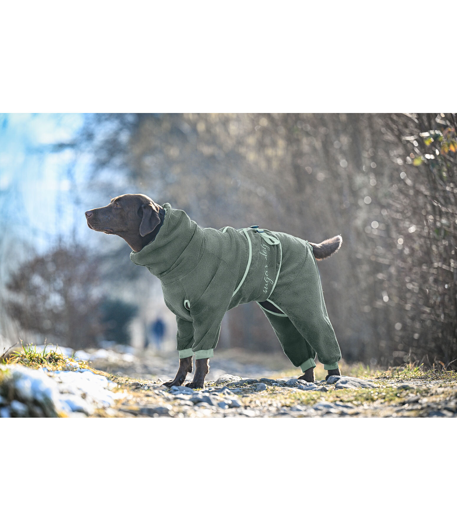 Peignoir pour chiens  Allover Dry