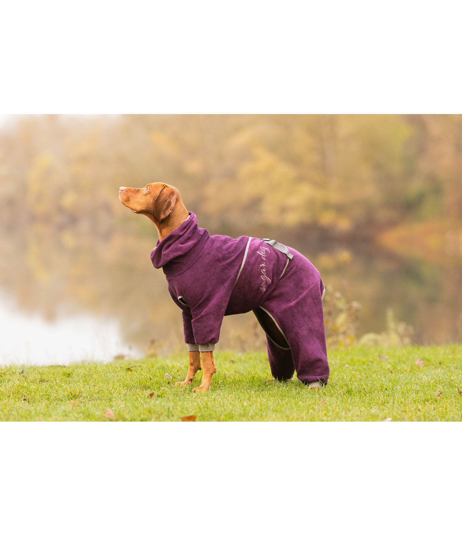 Peignoir pour chiens  Allover Dry