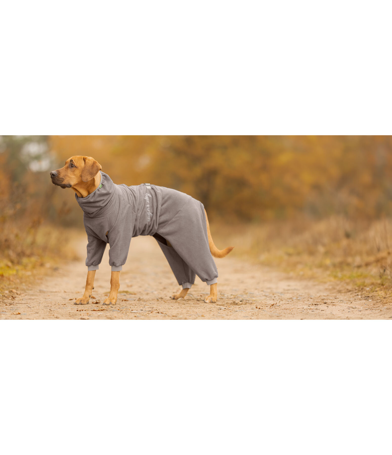 Peignoir pour chiens  Allover Dry