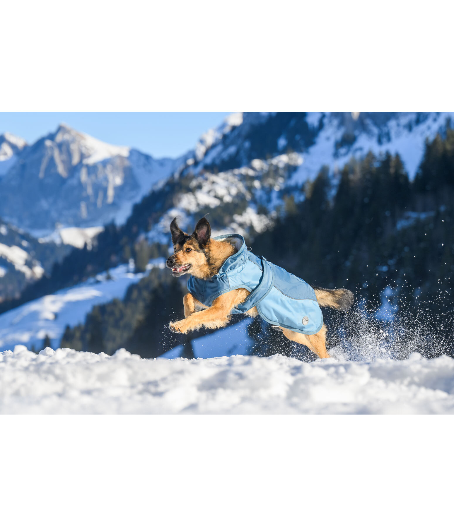 Manteau d'hiver avec doublure en polaire Teddy, 100 g  Glacier Bay