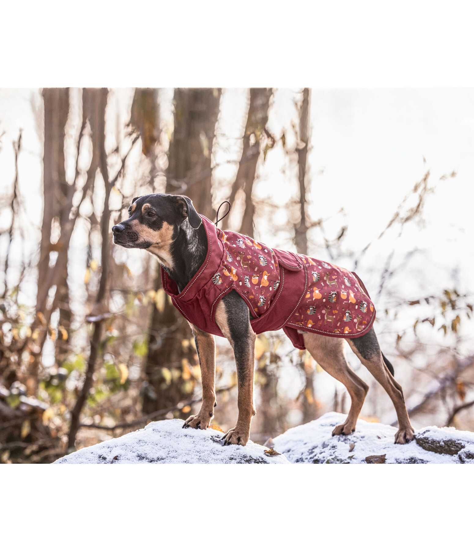 Impermable  Pumpkin Spice, 0 g